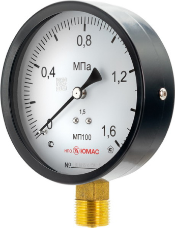 МП100 0,6